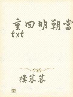 重回明朝当皇帝txt
