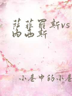 萨菲罗斯vs杰内西斯