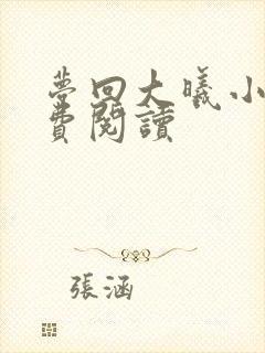 梦回大曦小说免费阅读