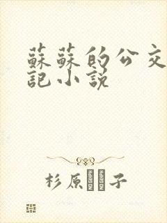 苏苏的公交车日记小说