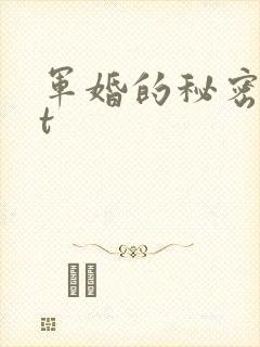 军婚的秘密txt