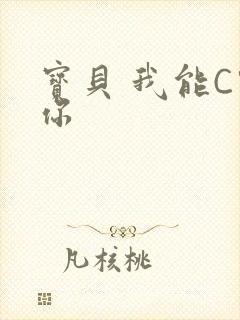 宝贝 我能C哭你