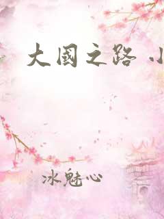 大国之路 小说