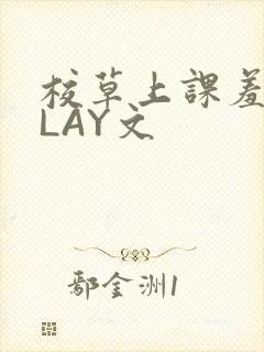 校草上课羞耻PLAY文