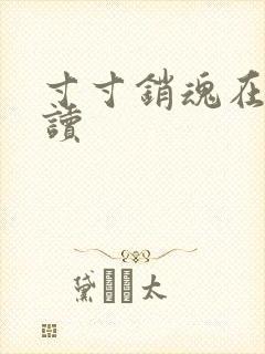 寸寸销魂在线阅读