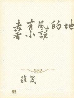 去有风的地方原著小说