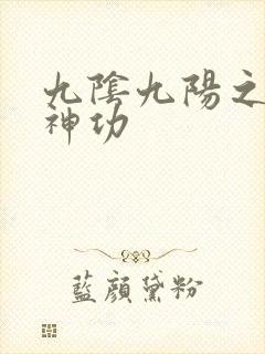 九阴九阳之阴阳神功