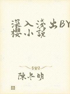 深入浅出BY胖樱小说