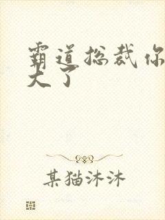 霸道总裁你的太大了