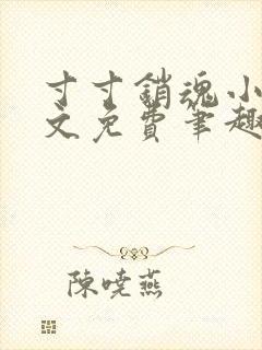 寸寸销魂小说全文免费笔趣阁