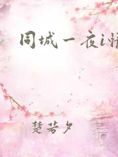 同城一夜i情