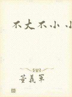不大不小 小说