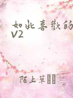 如此喜欢的你1V2