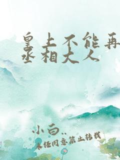 皇上不能再进了丞相大人