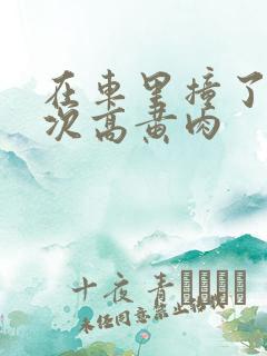 在车里撞了我八次高黄肉