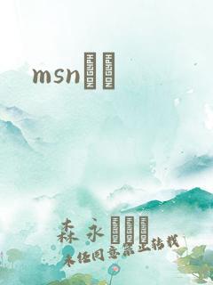 msnС˵