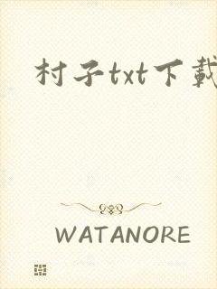 村子txt下载