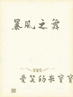 暴风之舞