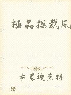 极品总裁风流录