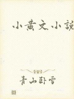 小黄文小说