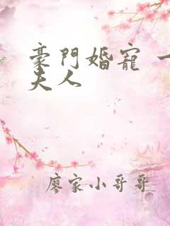 豪门婚宠 一品夫人