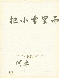 把小雪里面整满