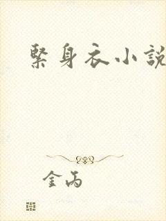 紧身衣小说