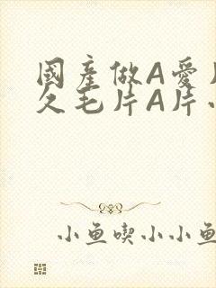 国产做A爱片久久毛片A片小说