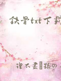 铁骨txt下载