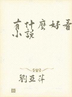 有什么好看的h小说