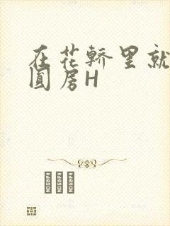 在花轿里就开始圆房H