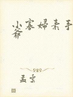 小寡妇素手擒四爷