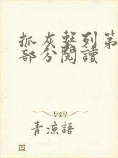 抓灰系列第33部分阅读