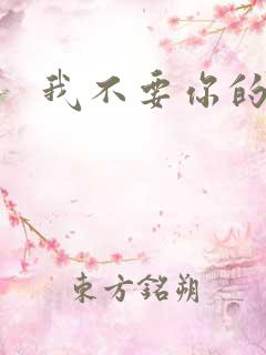 我不要你的承诺