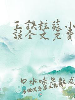 王铁柱苏小汐小说全文免费阅读最新章节