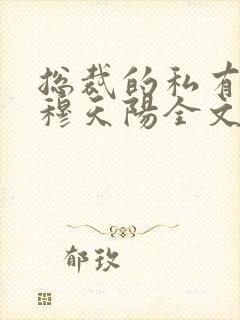 总裁的私有宝贝穆天阳全文阅读