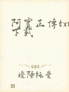 阿宾正传txt下载