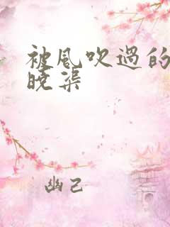 被风吹过的夏天晓渠