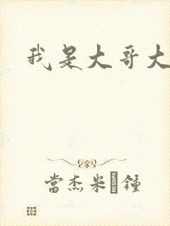 我是大哥大下载