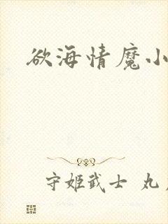 欲海情魔小说