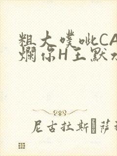 粗大噗呲CAO烂你H王默水王子