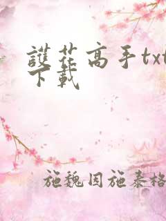 护花高手txt下载