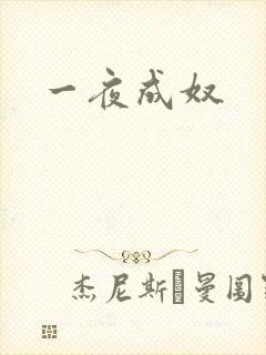 一夜成奴