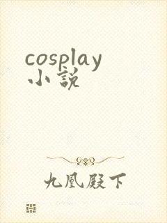 cosplay小说