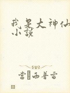 我是大神仙时江小说