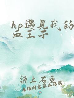 hp遇见我的混血王子