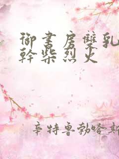 御书房双乳晃动干柴烈火