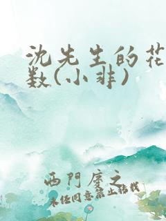 沈先生的花式调数(小非)