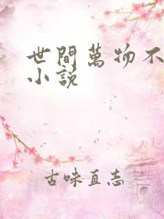 世间万物不及你小说