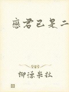 恋君已是二十年